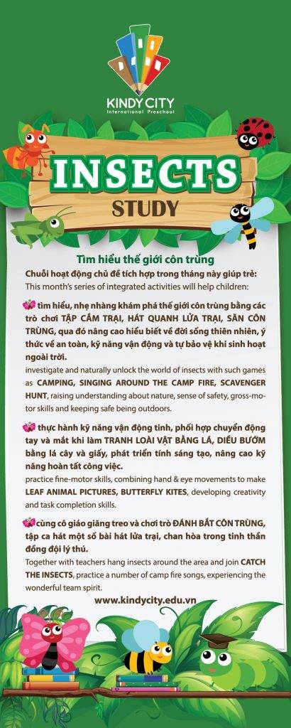 hinh trong bai