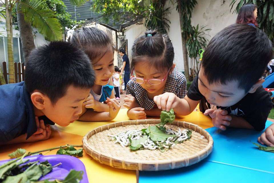 he nay be xay thanh pho dong vat duoi long dat hinh 04