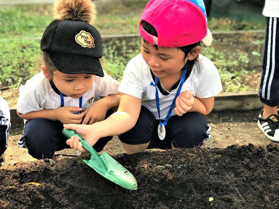 kindy city noi uom mam cho tinh ban cua tre hinh 02