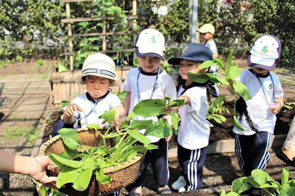 kindy city noi uom mam cho tinh ban cua tre hinh 03