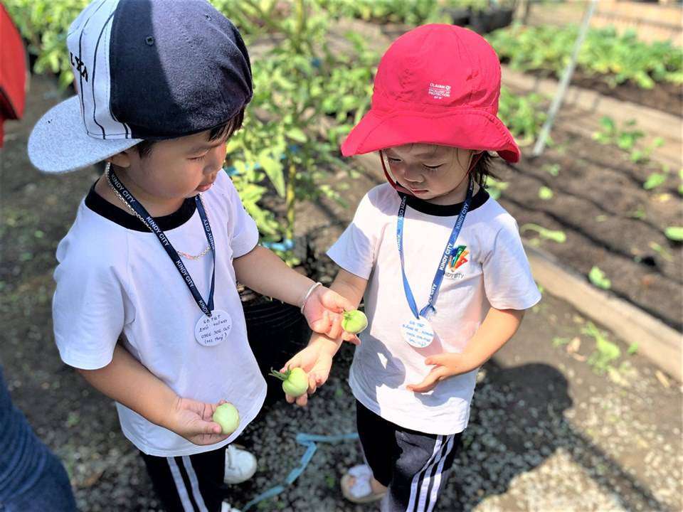 kindy city noi uom mam cho tinh ban cua tre hinh 04