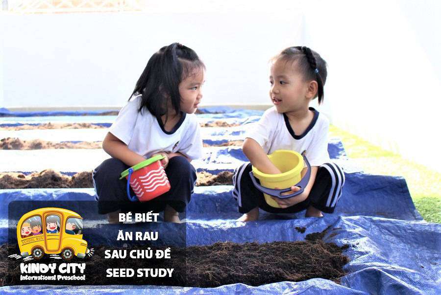 be biet an rau sau chu de seed study hinh 01