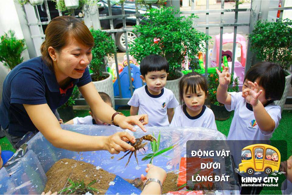 HỌC TRÒ KINDY CITY THÍCH THÚ VỚI ĐỘNG VẬT THẬT HÌNH 01