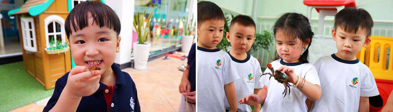 HỌC TRÒ KINDY CITY THÍCH THÚ VỚI ĐỘNG VẬT THẬT HÌNH 02