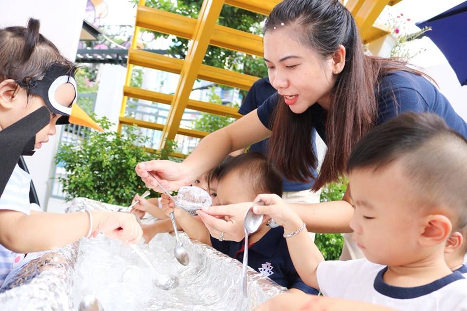 Bé chuyển đá vào hang chim cánh cụt