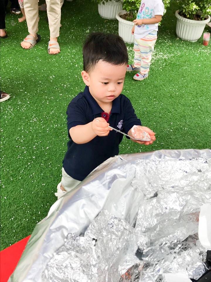 Bé chuyển đá vào hang chim cánh cụt