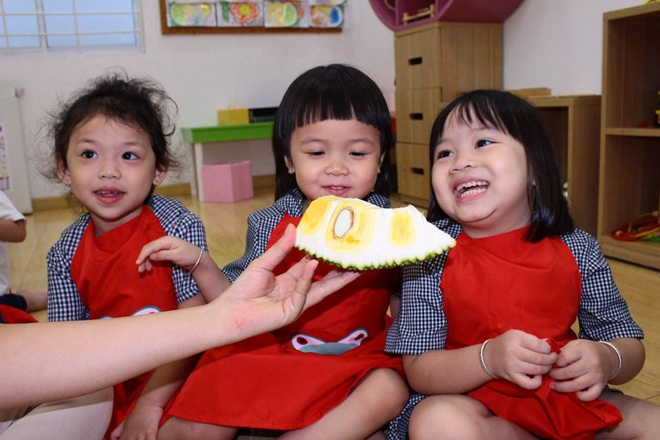 truong-mam-non-quoc-te-hoc-sinh-kindy-city-cung-kham-pha-qua-mit