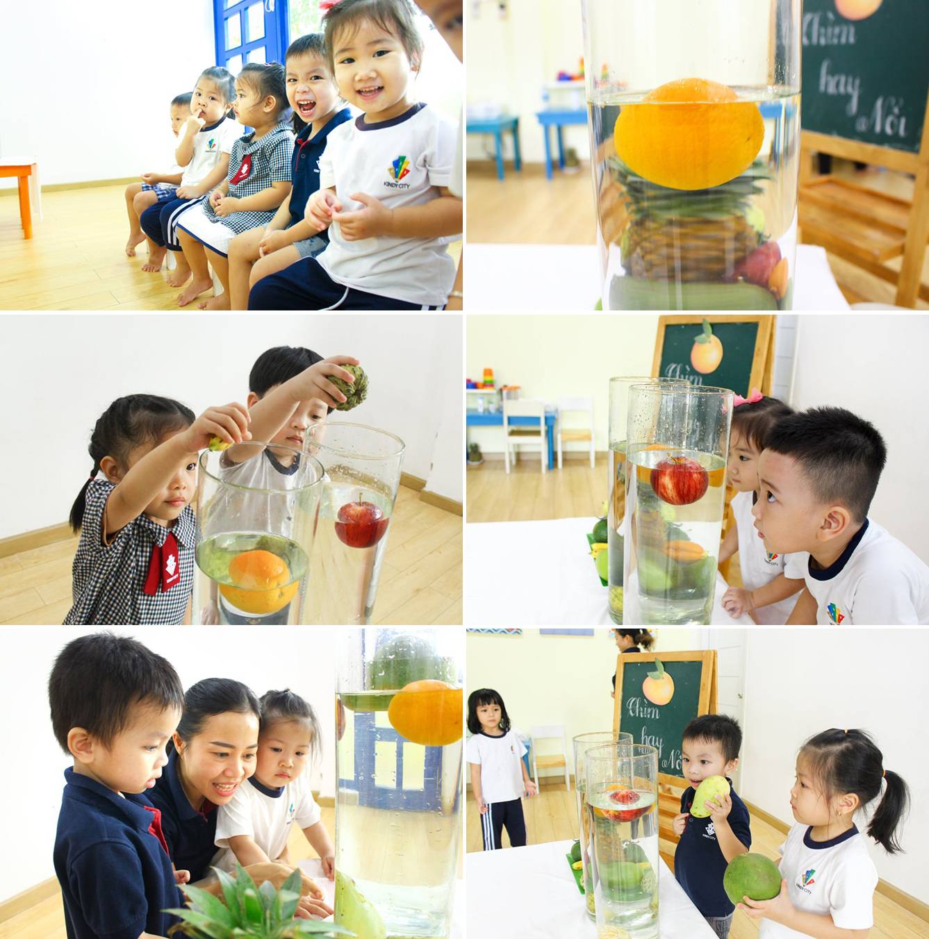 truong-mam-non-quoc-te-thi-nghiem-khoa-hoc-qua-chim-qua-noi