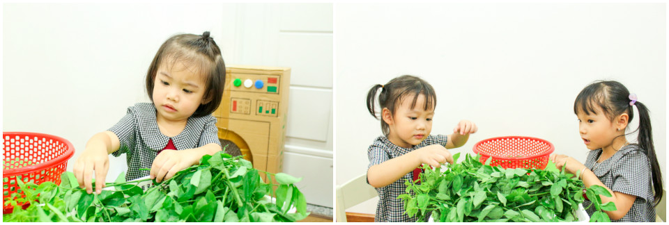 Bé tìm hiểu chuỗi hoạt động "Going Green with 3Rs”