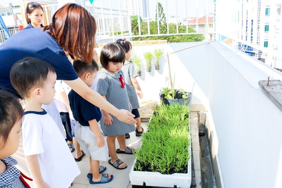 Sân chơi trên tầng thượng là nơi lý tưởng để nuôi dưỡng tâm hồn trẻ thơ.