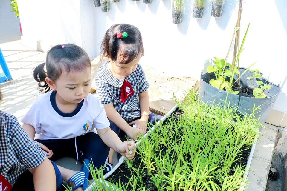 Sân chơi trên tầng thượng là nơi lý tưởng để nuôi dưỡng tâm hồn trẻ thơ.