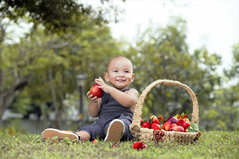 Thông báo nghỉ Tết Nguyên Đán