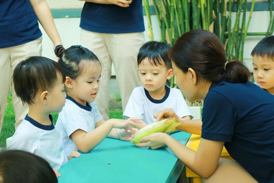 Hạt bắp nhảy múa