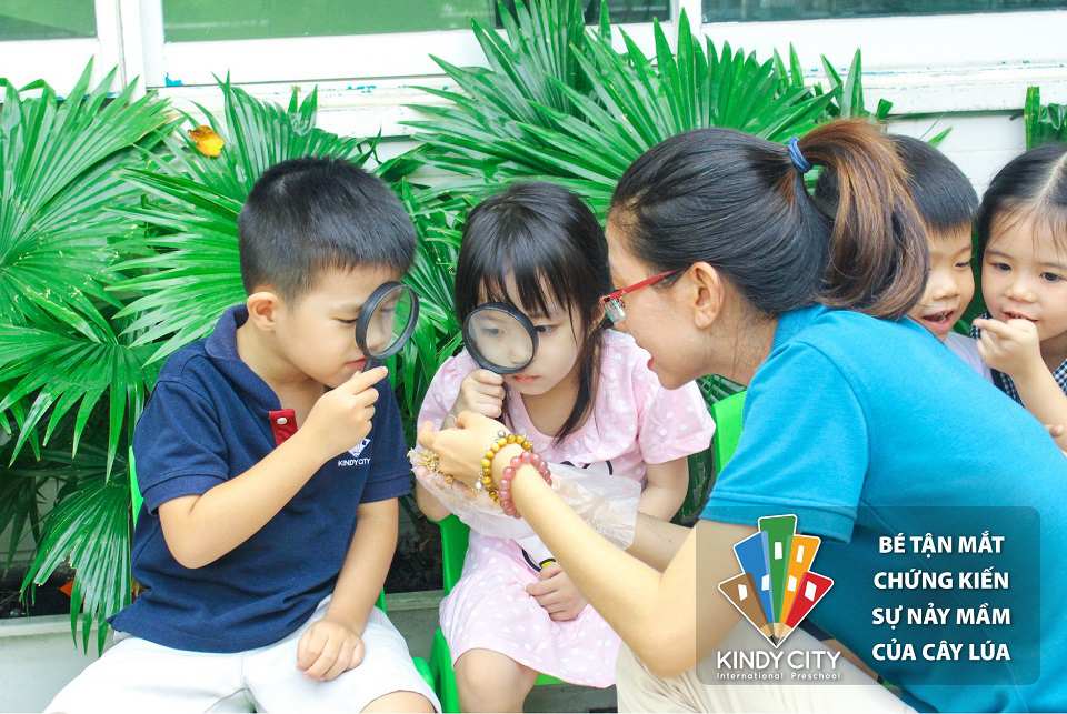 BÉ TẬN MẮT CHỨNG KIẾN SỰ NẢY MẦM CỦA CÂY LÚA