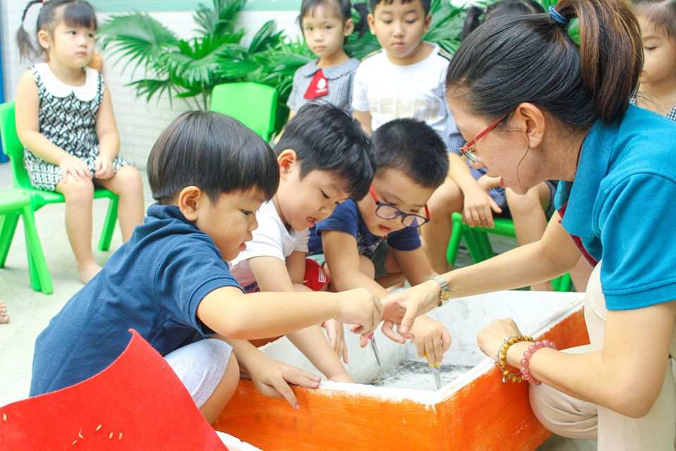 BÉ TẬN MẮT CHỨNG KIẾN SỰ NẢY MẦM CỦA CÂY LÚA