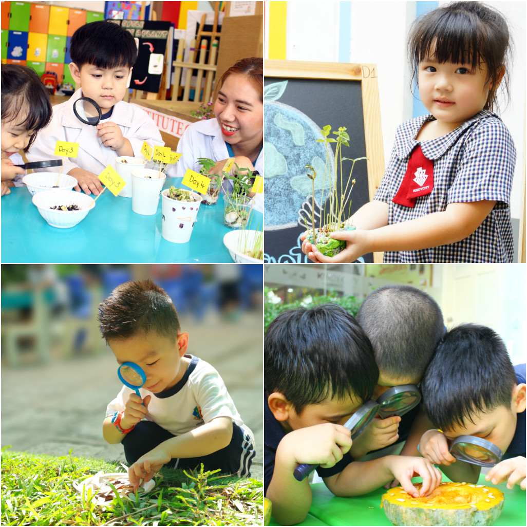 HAPPY TIME “SEEDS STUDY”
