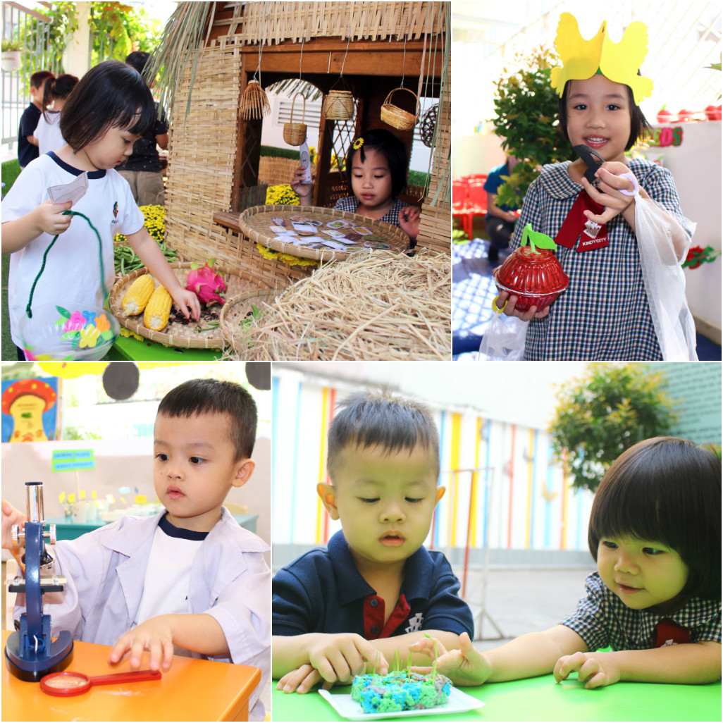 HAPPY TIME “SEEDS STUDY”