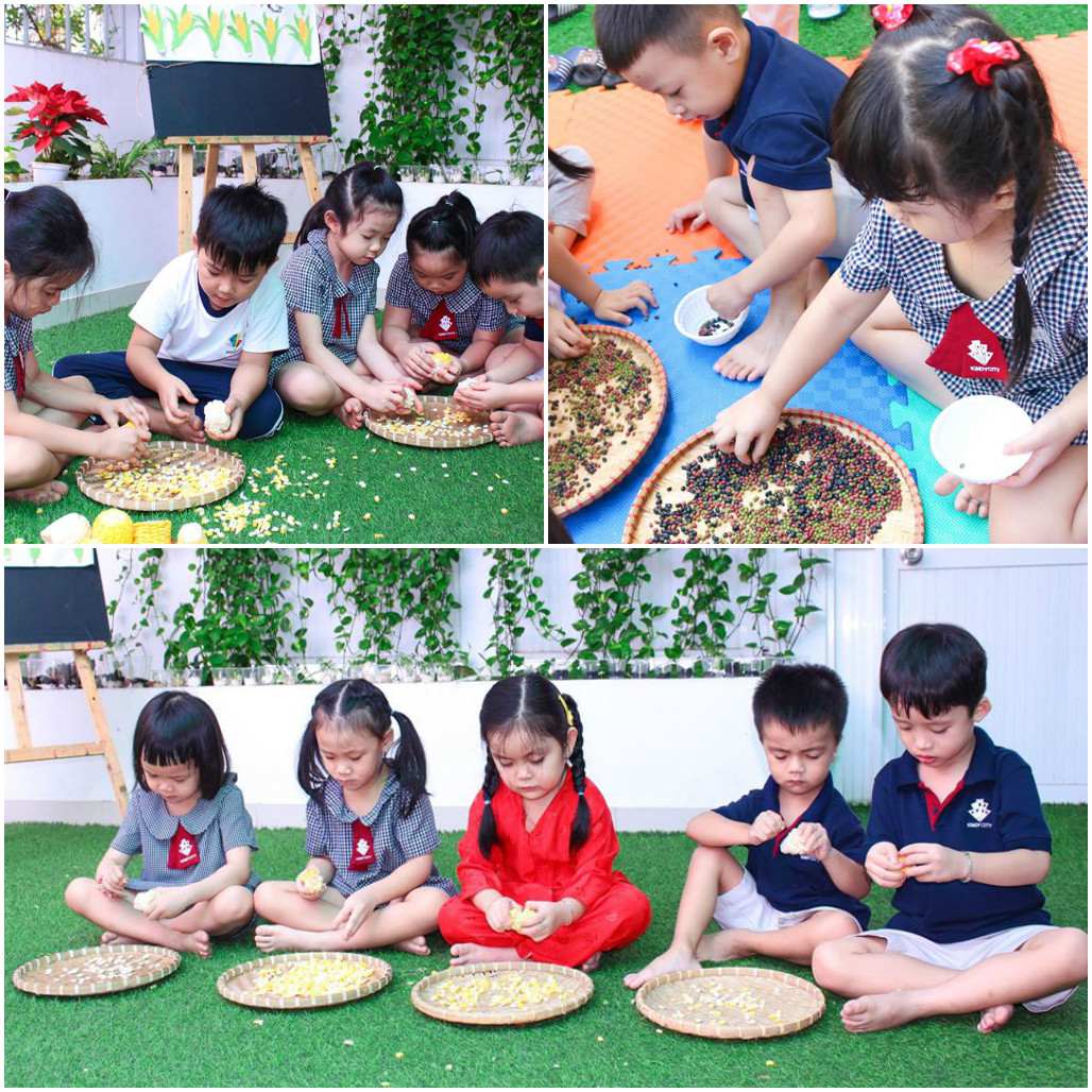 trẻ tập lựa đậu, tách bắp