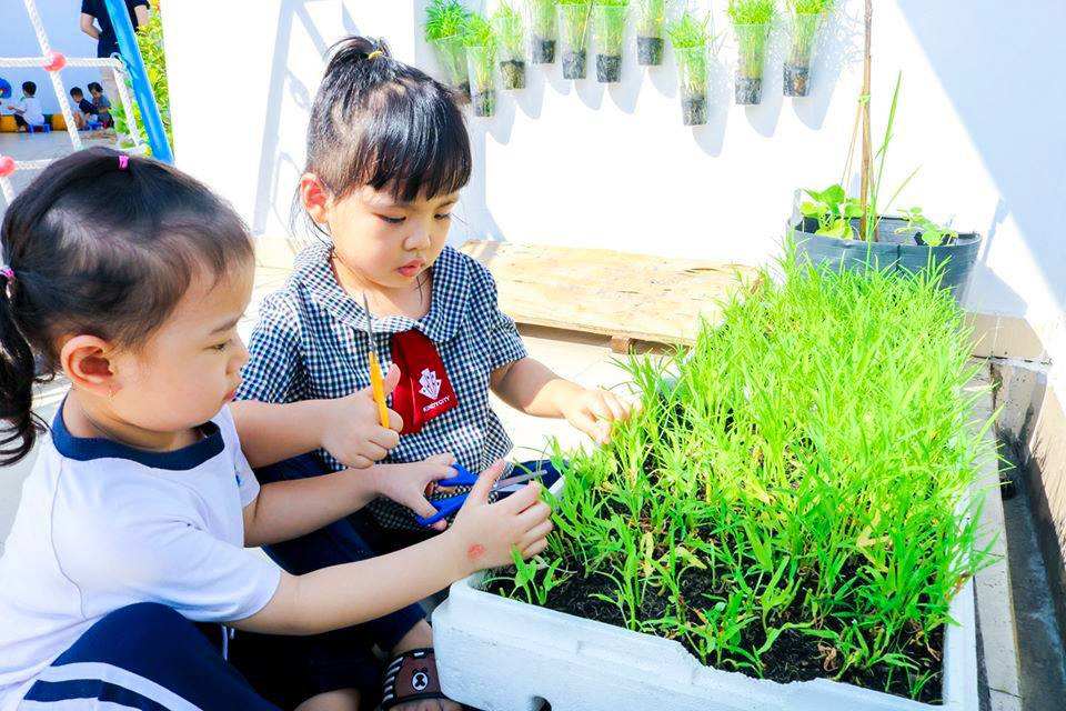 Trẻ giúp bố mẹ chăm sóc cây
