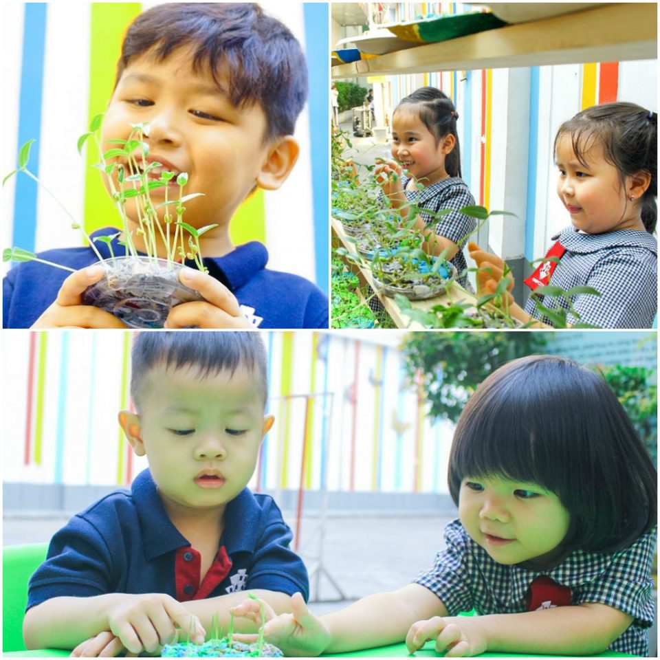Bé vui khi nhìn cây lớn lên mỗi ngày