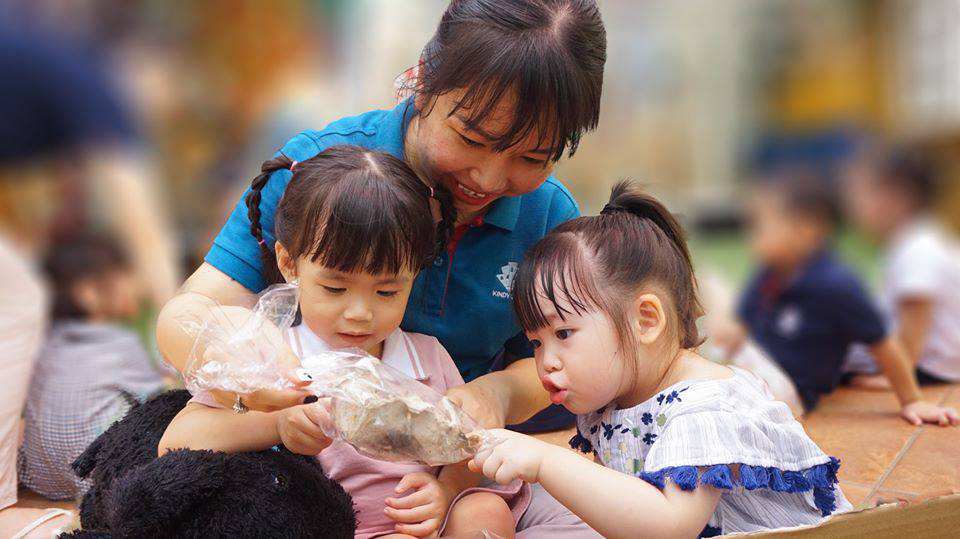 truong-mam-non-quoc-te-kindy-city-day-tre-yeu-thuong-dong-vat