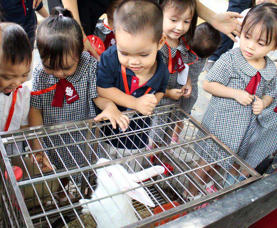 truong-mam-non-quoc-te-kindy-city-day-tre-yeu-thuong-dong-vat