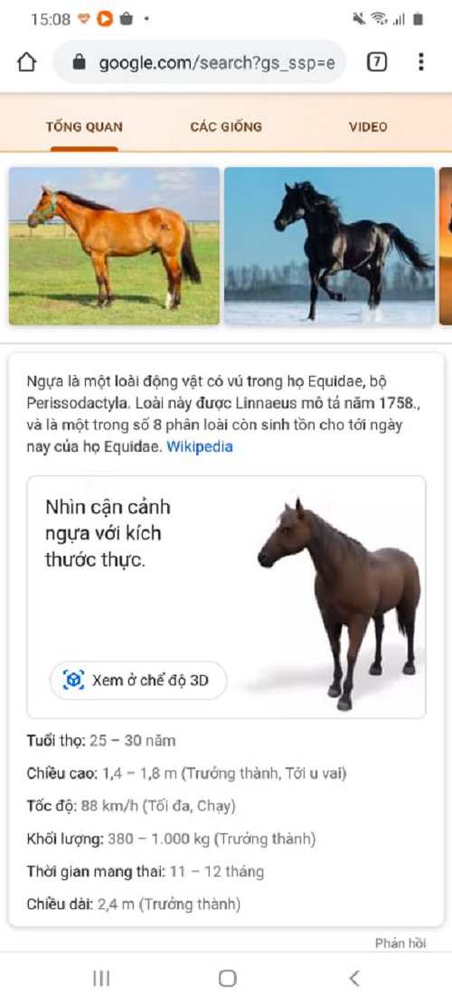 truong-mam-non-quoc-te-cung-tham-vuon-bach-thu-3d