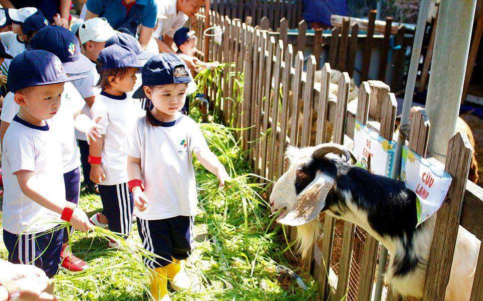 truong-mam-non-quoc-te-kindy-city-day-tre-yeu-thuong-dong-vat
