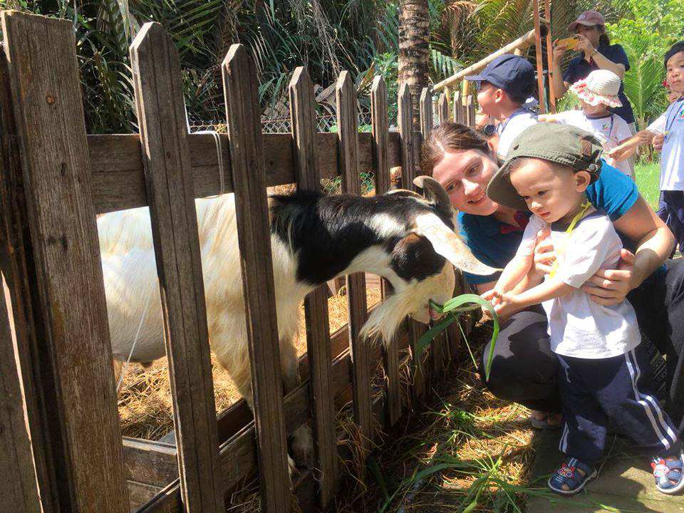 truong-mam-non-quoc-te-kindy-city-day-tre-yeu-thuong-dong-vat