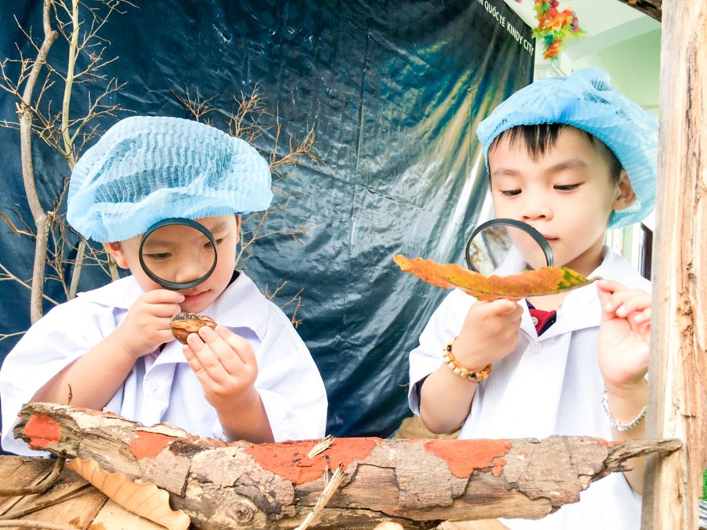 Students investigating leaves, trees in the “Integrated Activities” festivity 