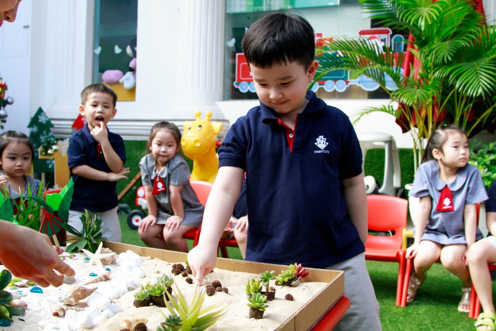Nhiệm vụ của trẻ là sắp xếp chiếc khay thành hai tiểu cảnh