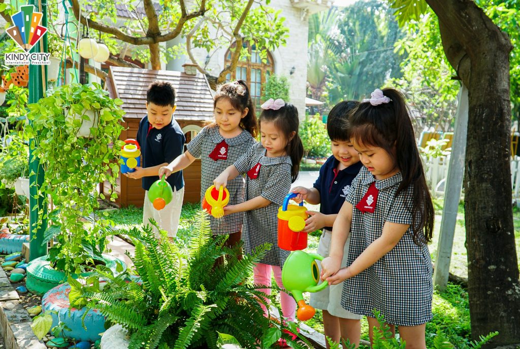sac-xanh-phu-khap-kindy-city