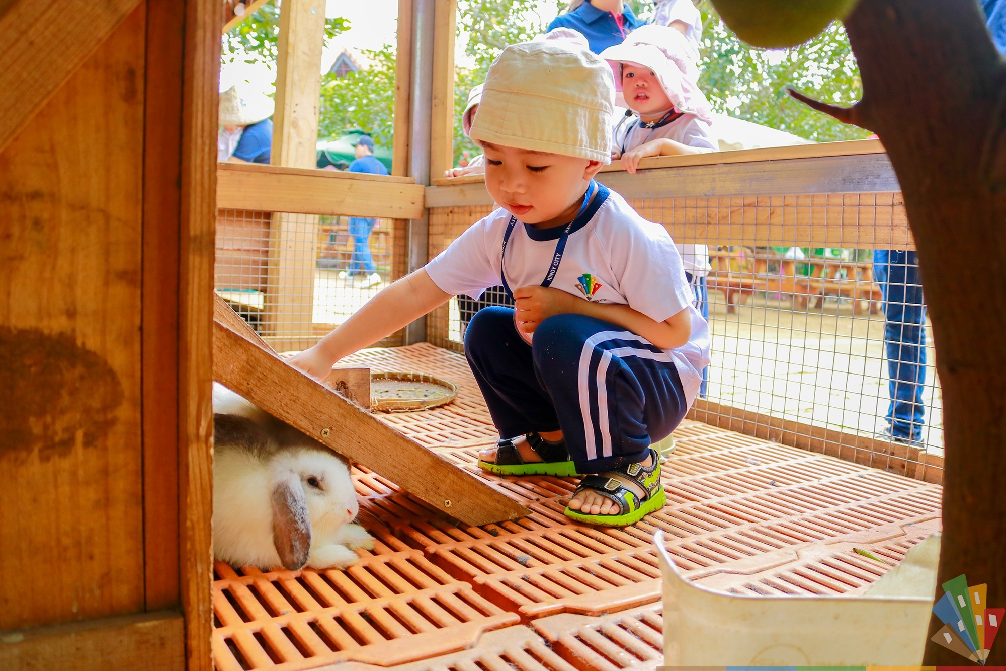 Trong chuyến đi xa đầu tiên, các bạn mắt nhìn ngắm các loài vật phong phú diệu kỳ