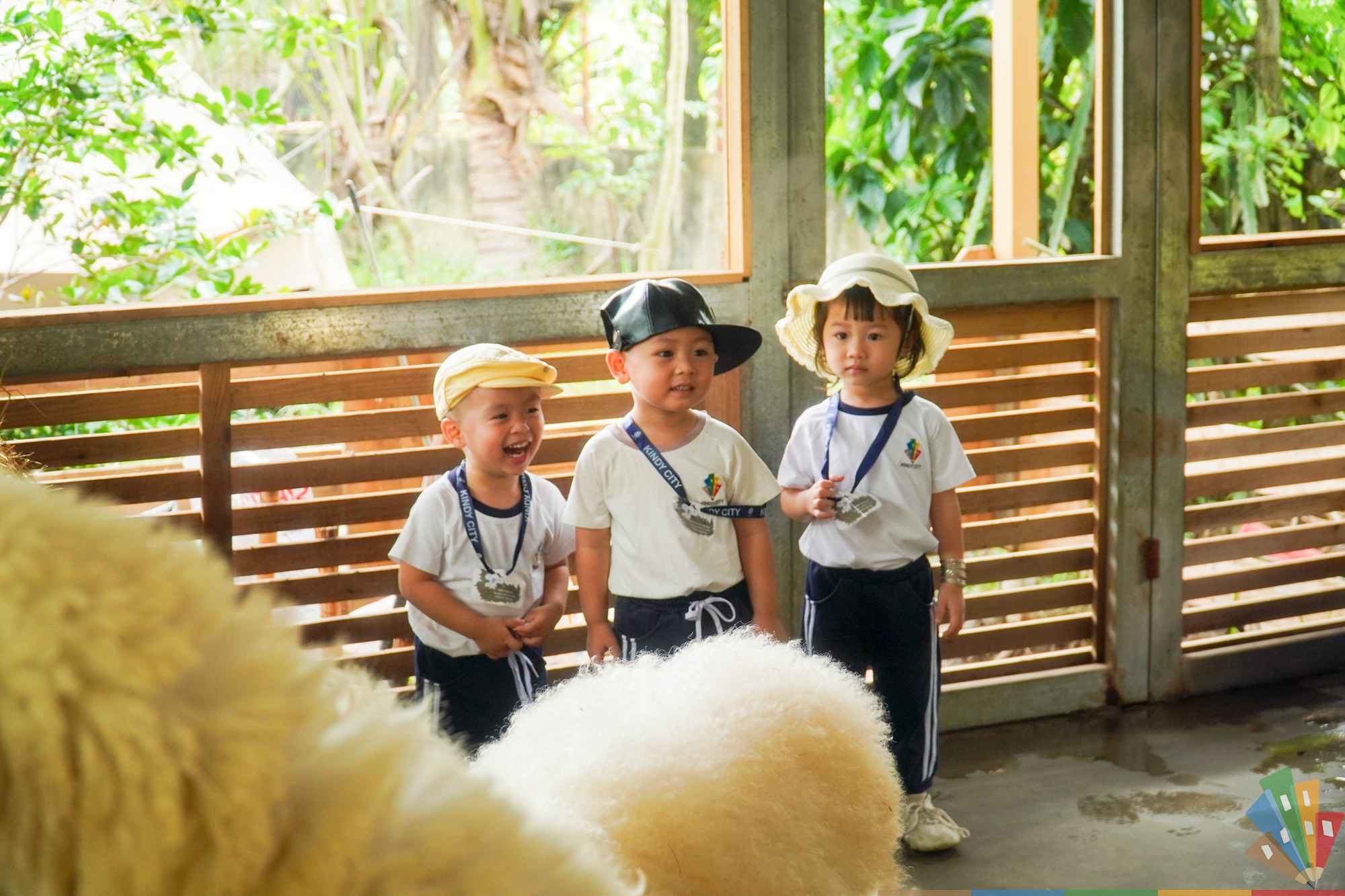 Field Trip mở ra thế giới trong mắt học sinh lớp nhỏ