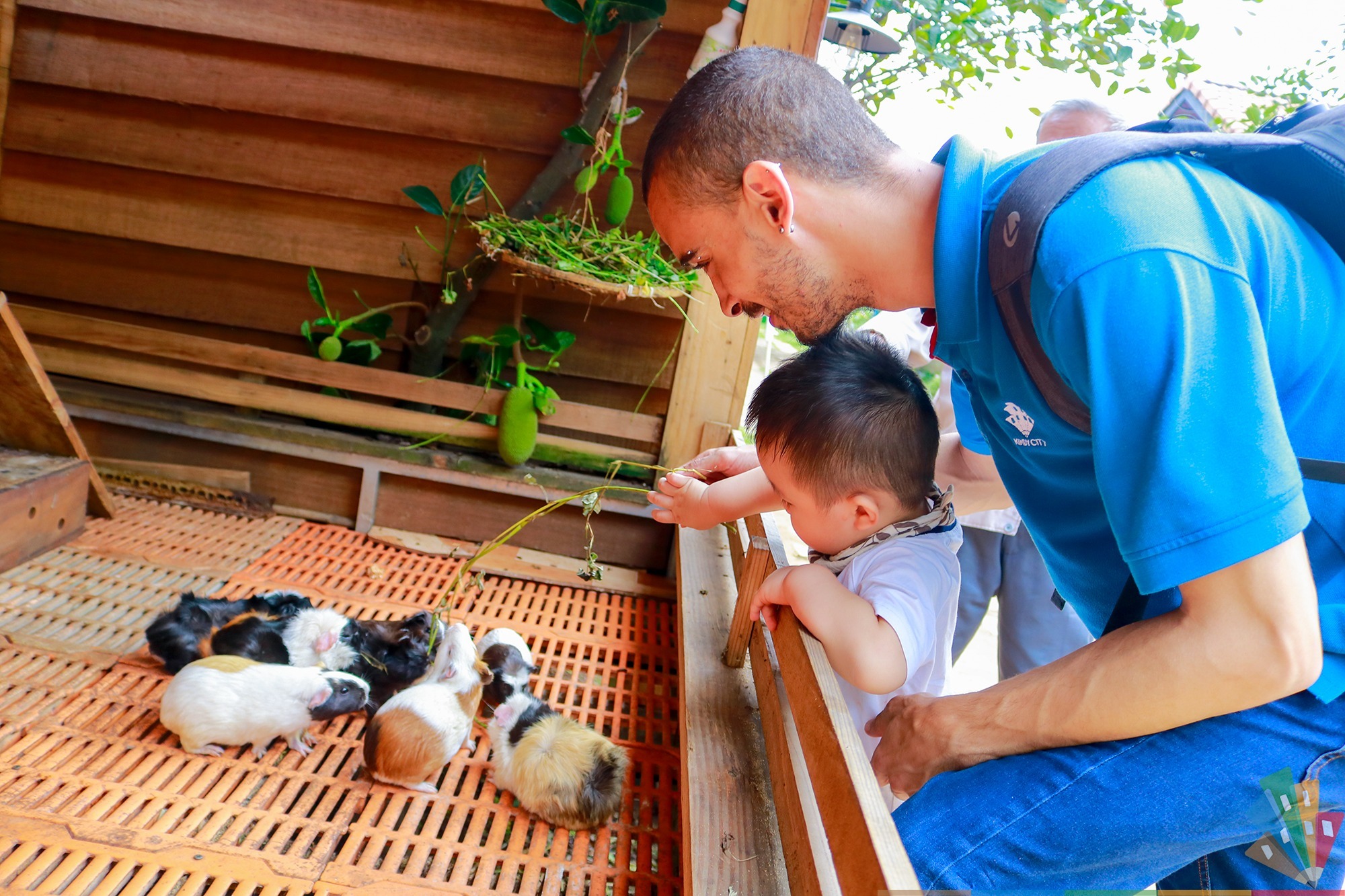 Trẻ khối lớp nhỏ Koala, Panda mở rộng các giác quan để thu nhận tất cả những điều xung quanh mắt thấy, tai nghe.